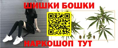 mix Гатчина